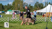 20231001-DSC08721