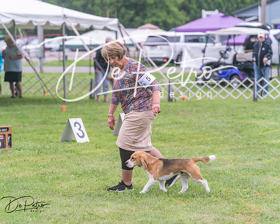 20250626-DSC04543
