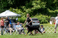 20190609-DSC09423