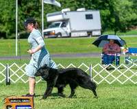 20250629-DSC00772
