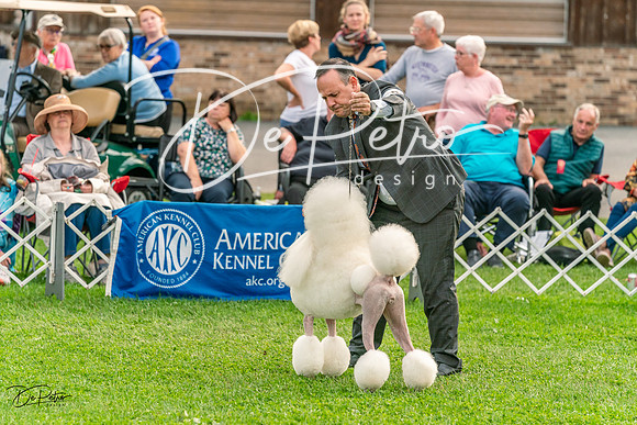 20231006-DSC08190