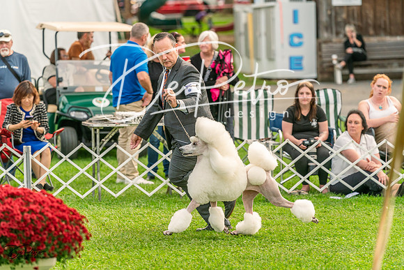 20231006-DSC08214