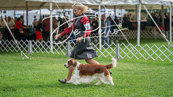 20231006-DSC01326
