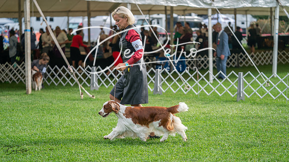20231006-DSC01330