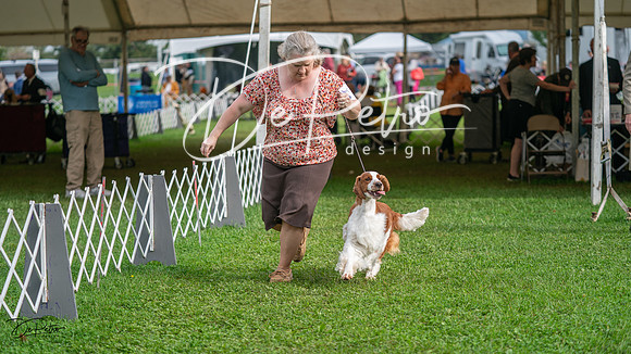 20231006-DSC01403
