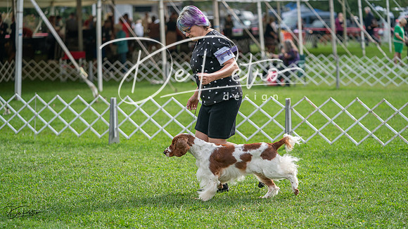 20231006-DSC01428