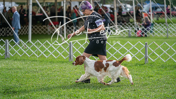 20231006-DSC01431