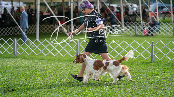 20231006-DSC01432