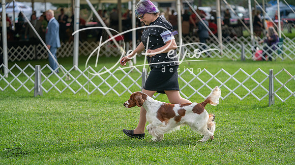 20231006-DSC01433