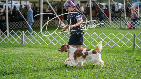 20231006-DSC01434