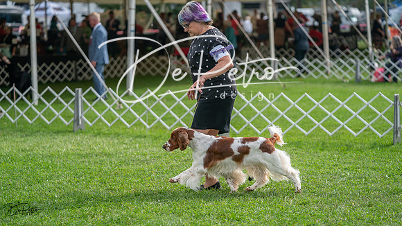 20231006-DSC01435