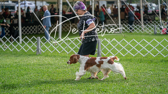 20231006-DSC01436