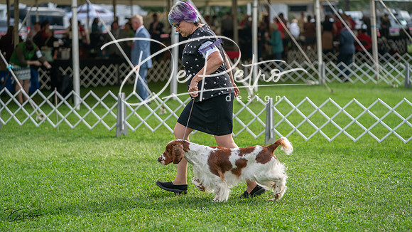 20231006-DSC01438