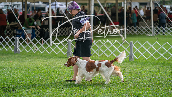20231006-DSC01441