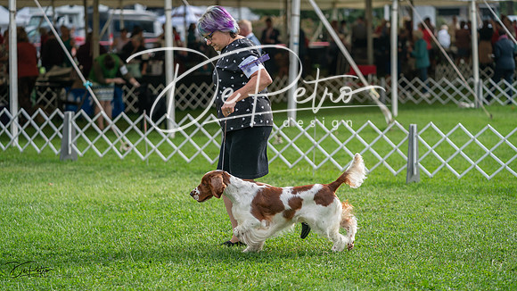 20231006-DSC01442