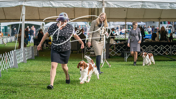 20231006-DSC01448