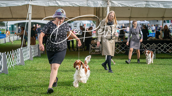 20231006-DSC01454