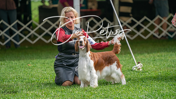 20231006-DSC01486