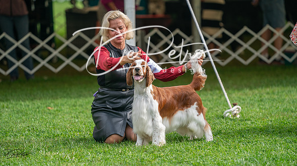 20231006-DSC01487