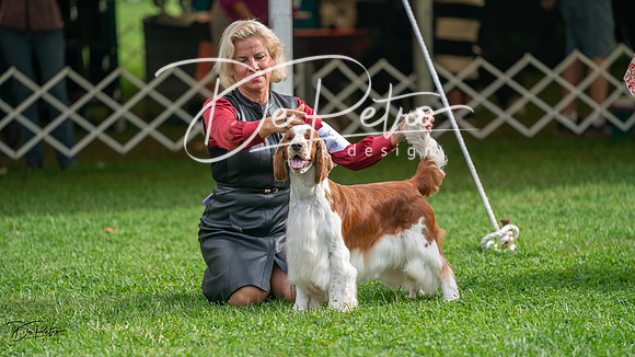 20231006-DSC01488