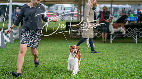 20231006-DSC01272
