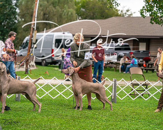 20231006-DSC01725