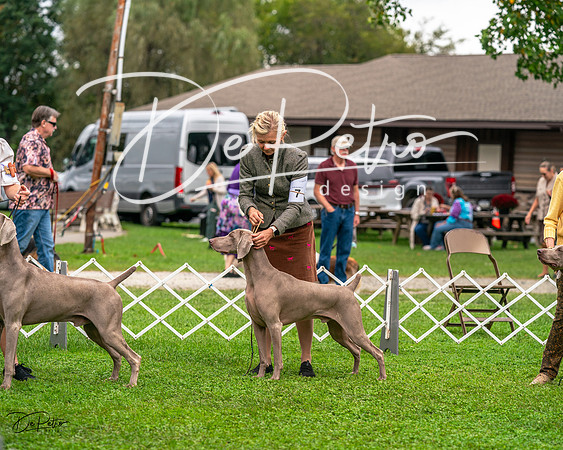20231006-DSC01726