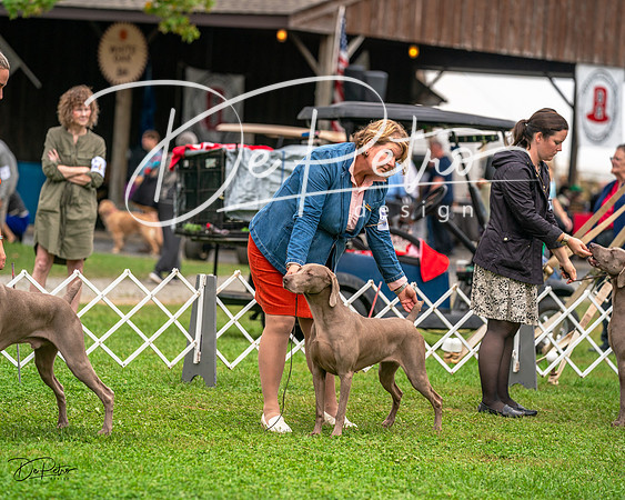 20231006-DSC01740