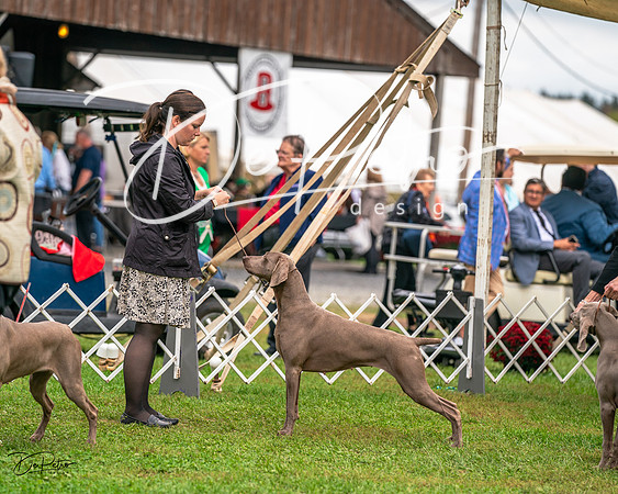 20231006-DSC01746