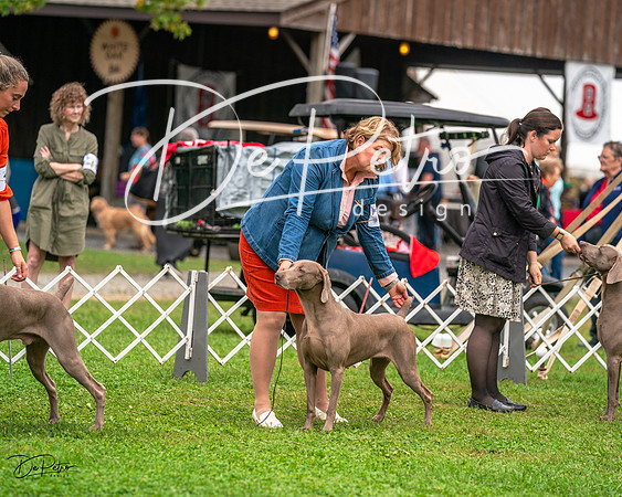 20231006-DSC01745