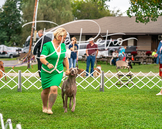 20231006-DSC01776