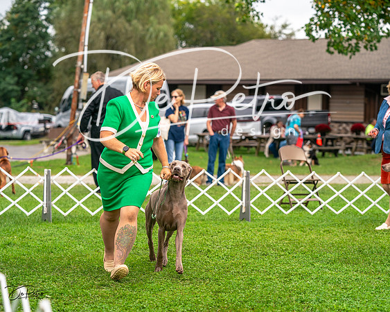 20231006-DSC01777