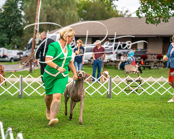20231006-DSC01778