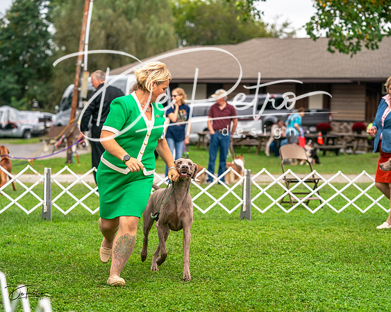 20231006-DSC01779