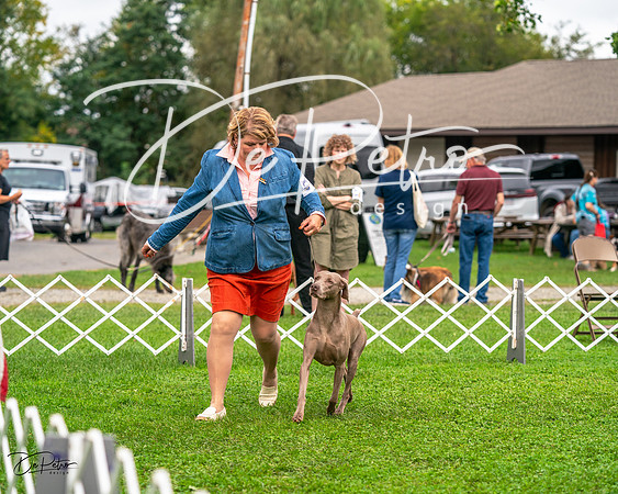 20231006-DSC01791