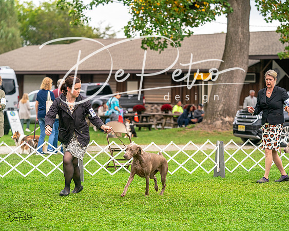 20231006-DSC01801