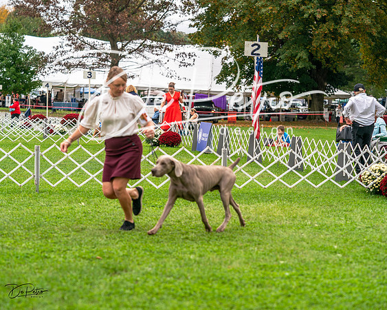 20231006-DSC01834