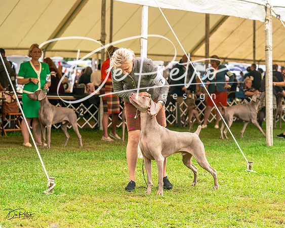 20231006-DSC01887