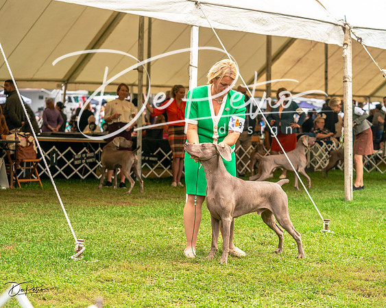 20231006-DSC01943
