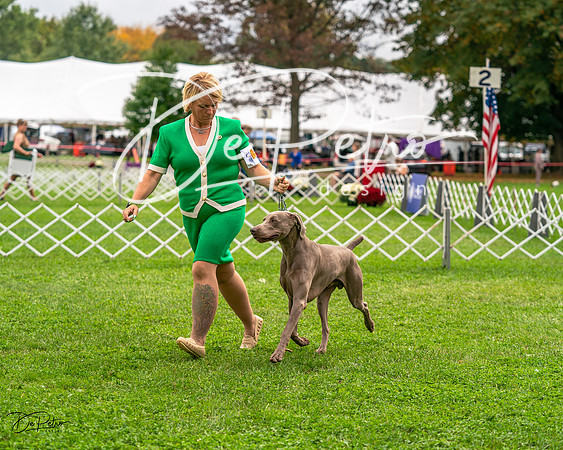 20231006-DSC01955