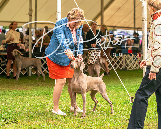 20231006-DSC02015