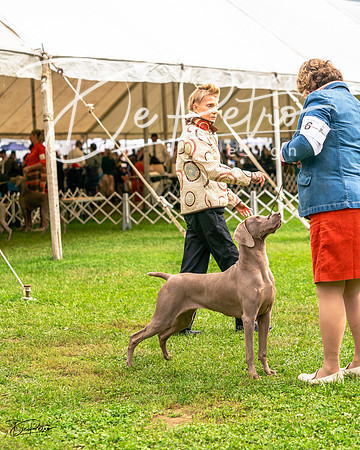 20231006-DSC02055