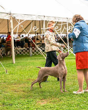 20231006-DSC02056