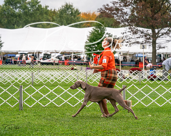 20231006-DSC02198