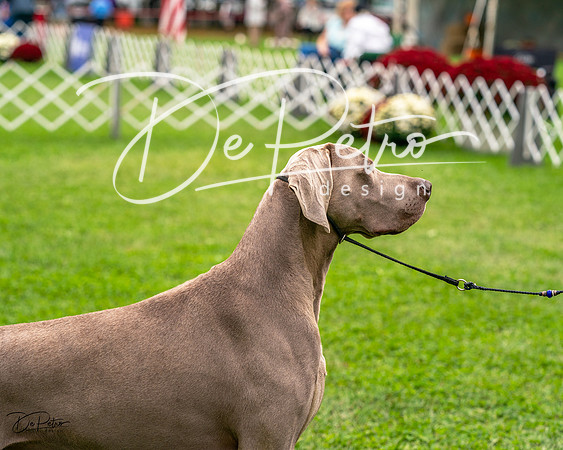 20231006-DSC02244