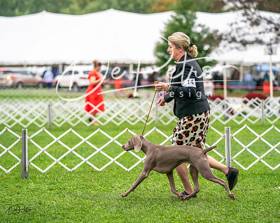 20231006-DSC01673