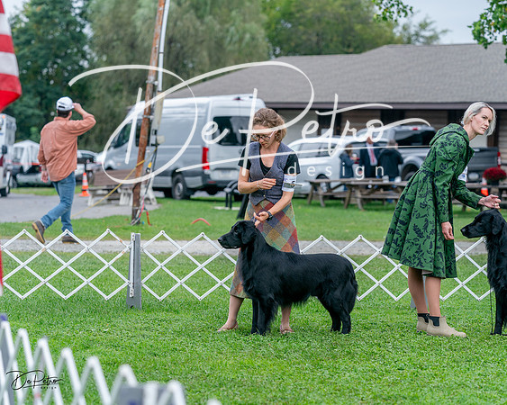 20231006-DSC00262