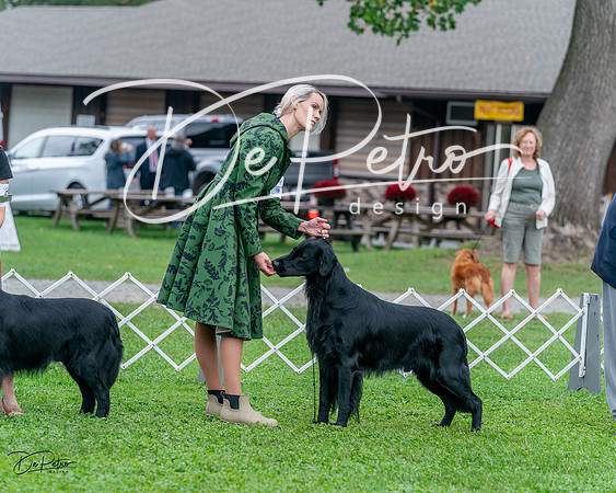 20231006-DSC00266
