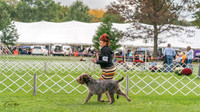 20231006-DSC02286
