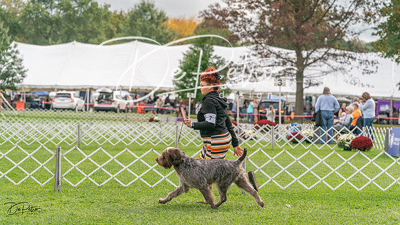 20231006-DSC02285